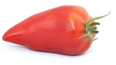 tomate andine cornue