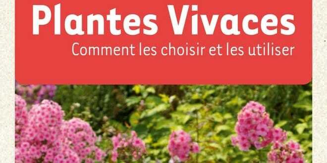 Plantes Vivaces Claudine Croux