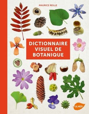 dictionnaire visuel de botanique ulmer