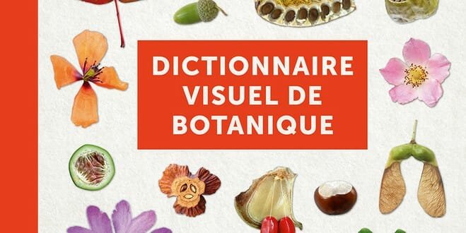 dictionnaire visuel de botanique maurice reille
