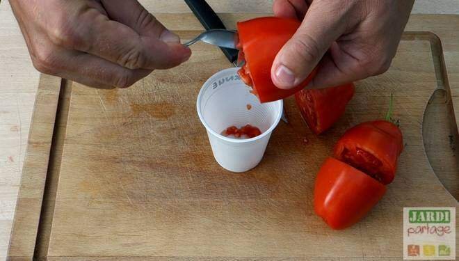 comment extraire des graines de tomates