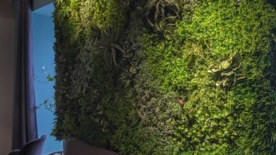 comment créer un mur végétal intérieur