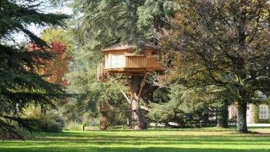 construire une cabane dans un arbre