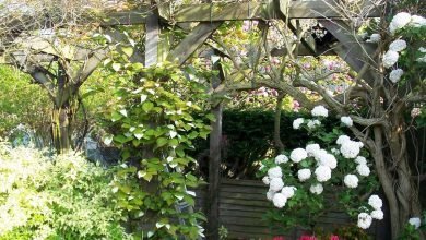 noir fil torsadé pour plantes grimpantes tenn well Fil de serrage pour jardin 100 m vignes arbustes et fleurs 