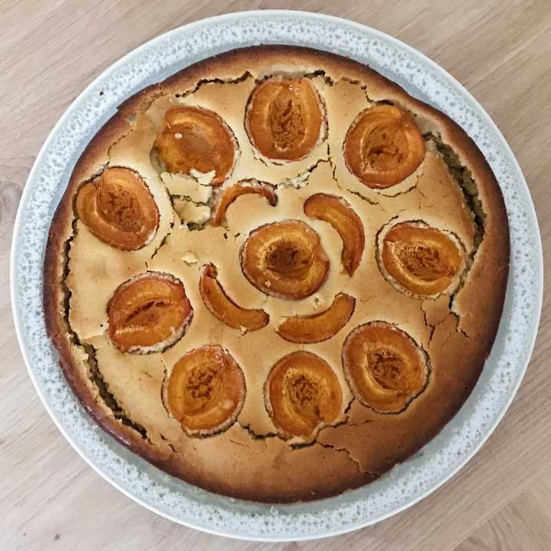 gâteau moelleux et léger aux abricots frais