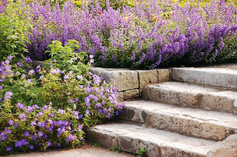 hauteur marche escalier jardin