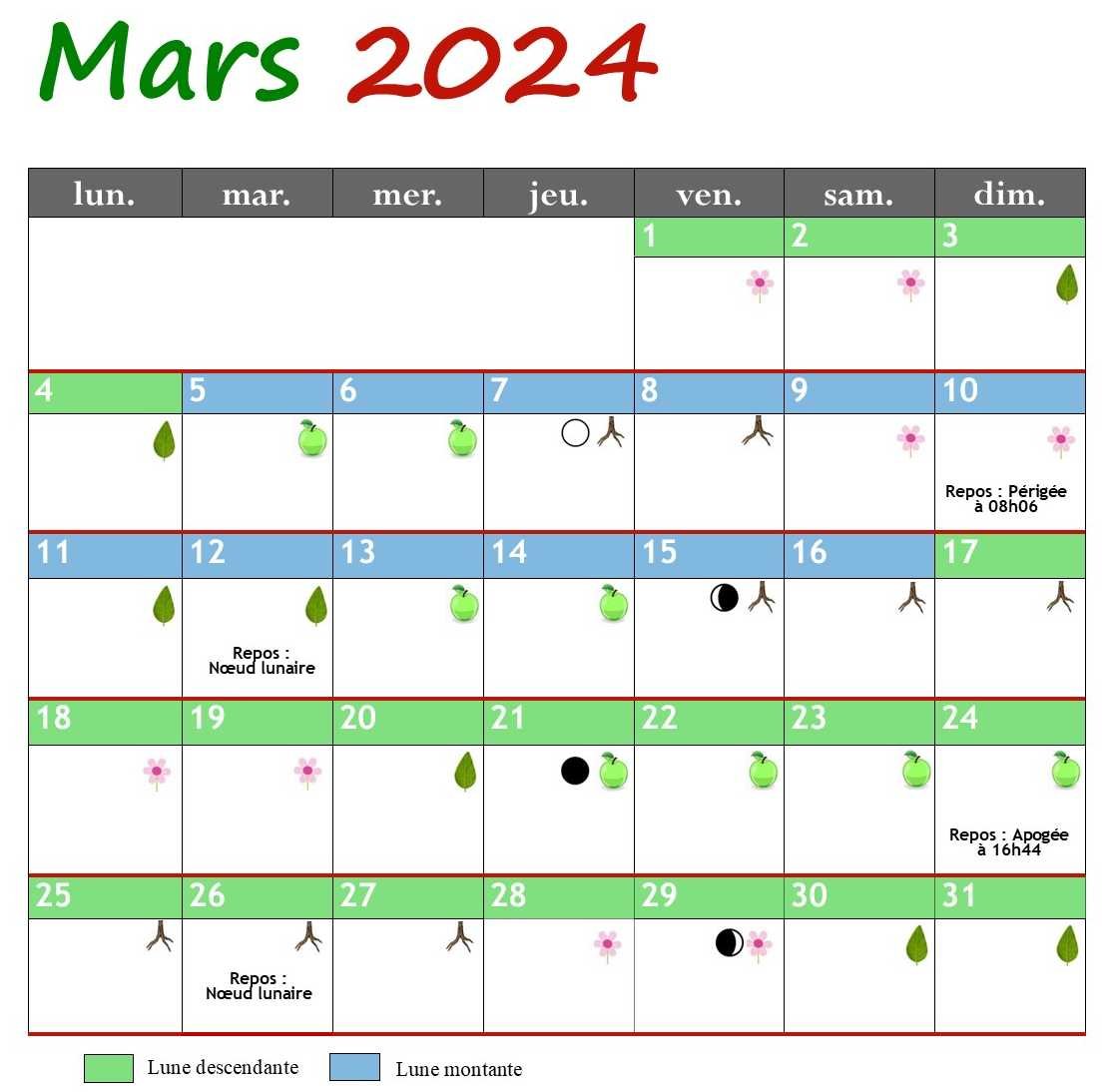 Calendrier lunaire du jardinage mars 2024